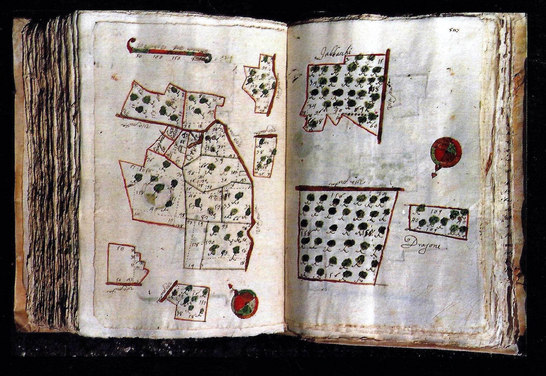 Nella pagina a sinistra mappa settecentesca della zona della Masseria S. Elia (fonte: Archivio di Stato di Lecce)